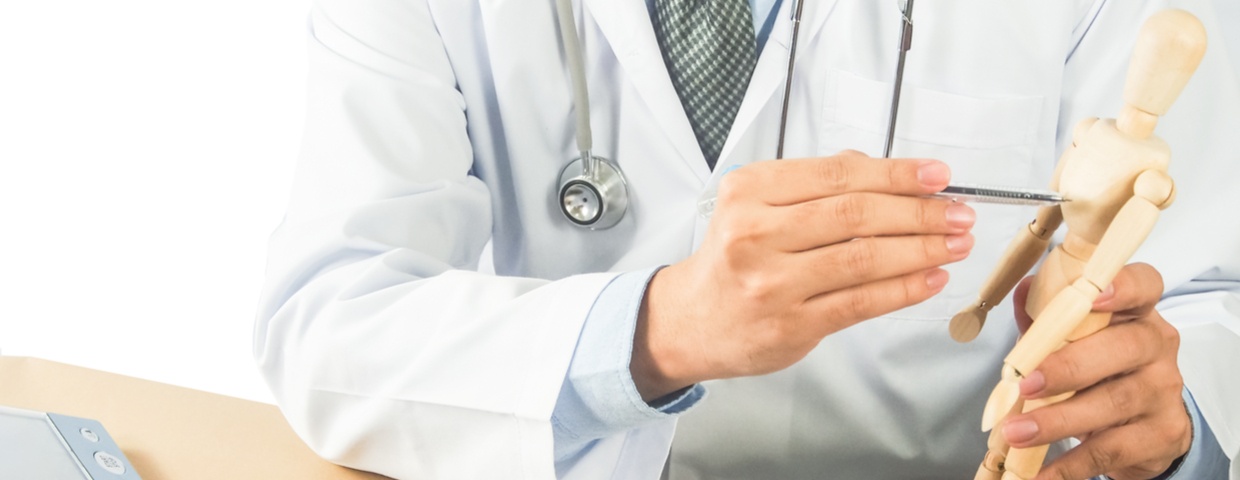 doctor pointing at anatomy model